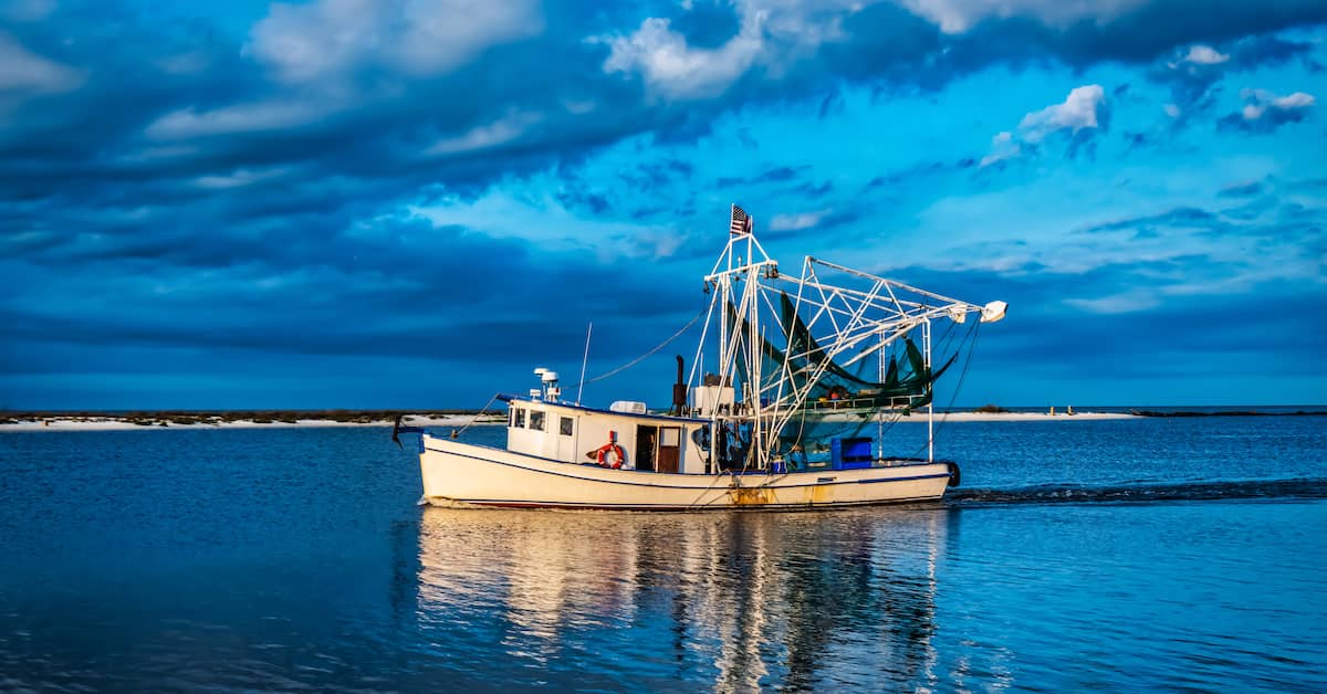 Maritime vessel at sea. | Patrick Daniel Law